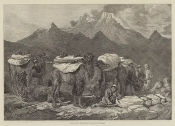 Transport de marchandises au Turkestan oriental